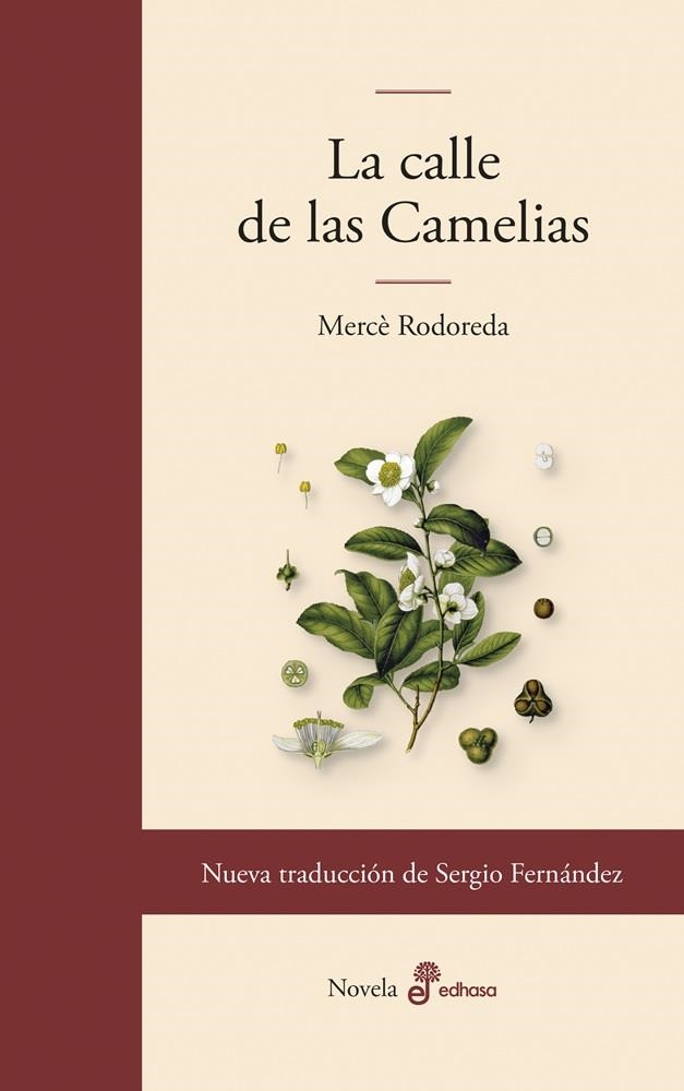 CALLE DE LAS CAMELIAS | 9788435011860 | RODOREDA, MERCÈ
